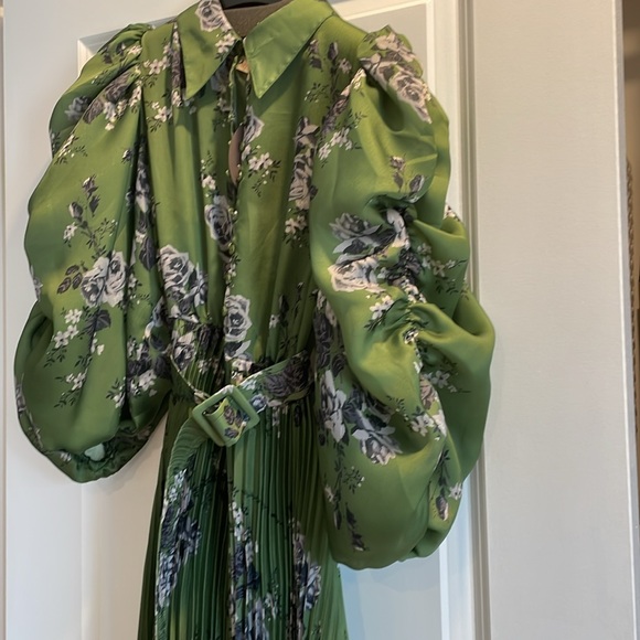 By Timo pleated Dress. Size Large. Brand new. Green Roses - Picture 4 of 9